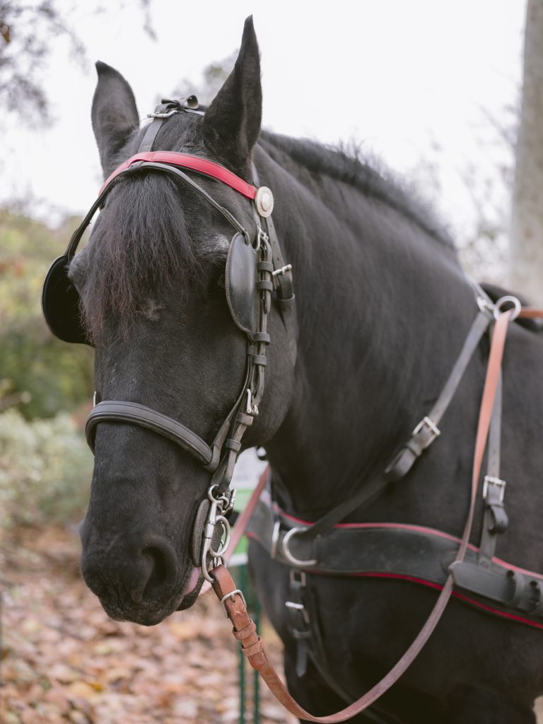 christmas wedding Paris le Meurice destination wedding Paris wedding planner